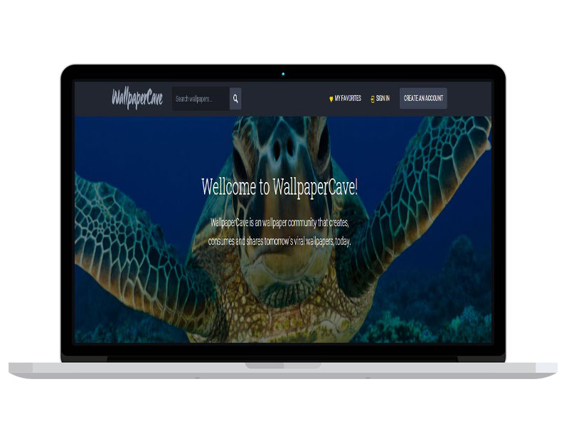 法國壁紙公司高端官網(wǎng)設(shè)計 banner寶貝圖片策劃 全網(wǎng)通運營