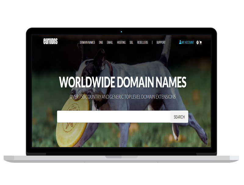 盧森堡域名注冊管理公司官網(wǎng) 運(yùn)營策劃 banner圖片設(shè)計(jì)